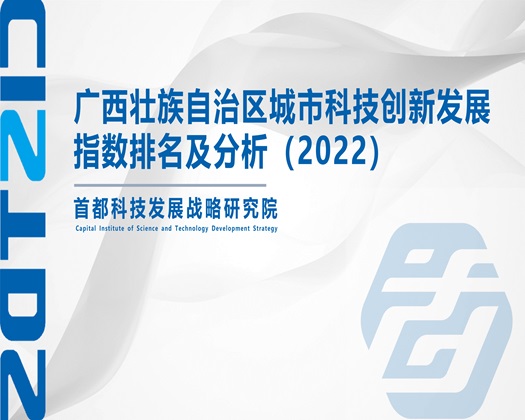 bb.啊啊啊视频网站【成果发布】广西壮族自治区城市科技创新发展指数排名及分析（2022）